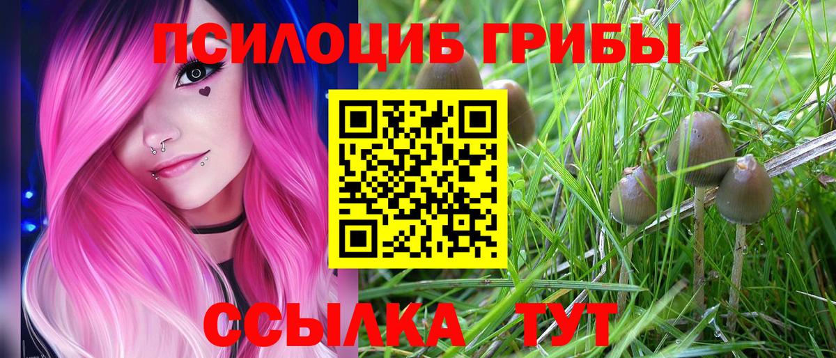 Псилоцибиновые грибы мухоморы Москва